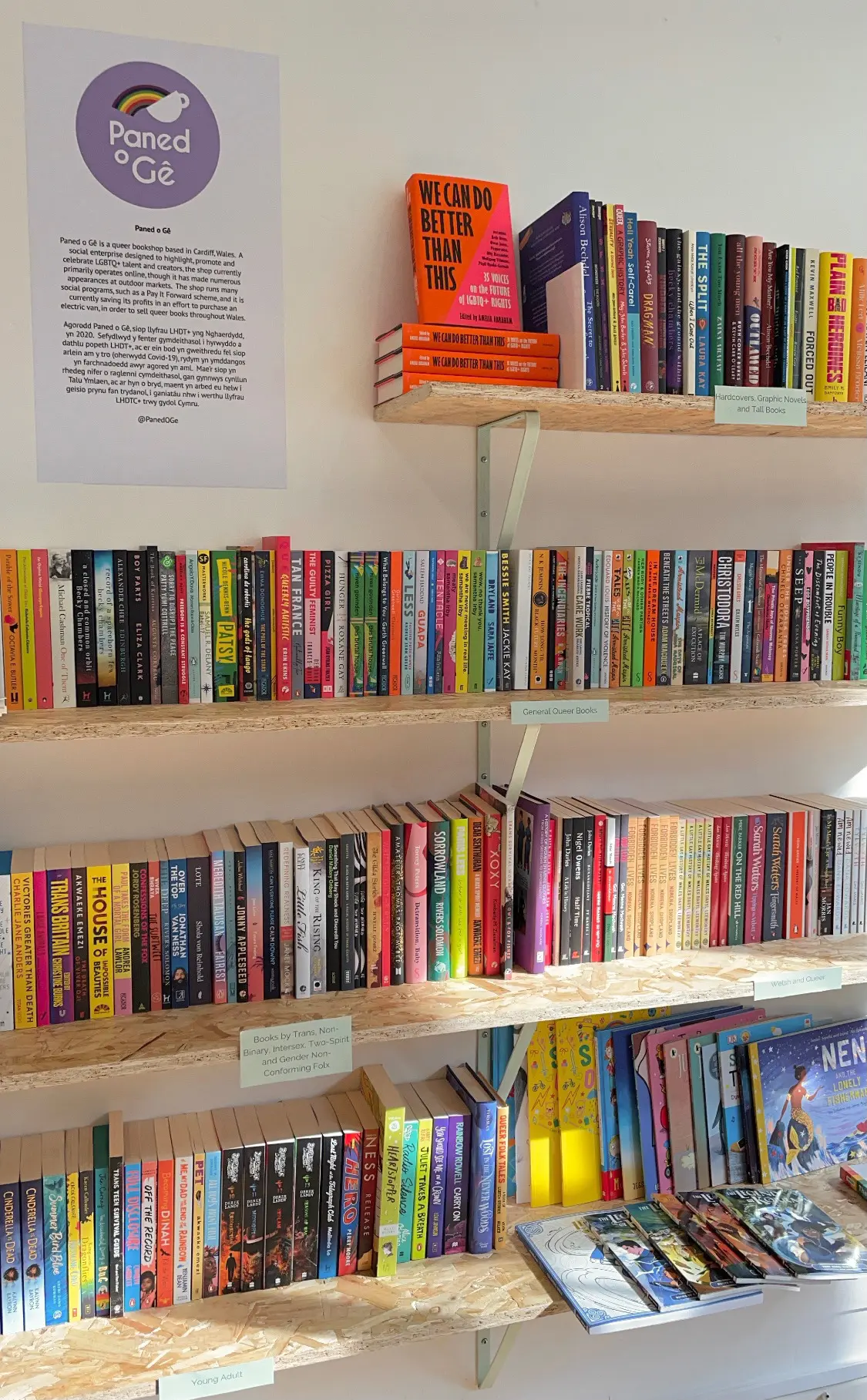 Photo of Paned o Gê's bookshelves at The Queer Emporium.