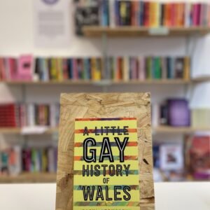 A copy of 'A Little Gay History of Wales' sits on a stand in front of multiple shelves of other books.