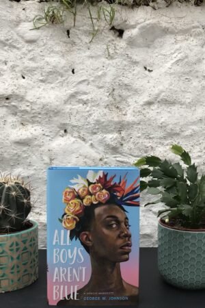 All Boys Aren't Blue - George M. Johnson