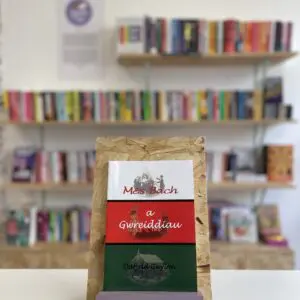Cymraeg: Copi o 'Mês Bach a Gwreiddiau' yn sefyll ar stondin llyfrau, tu blaen silffoedd o lyfrau yn y cefndir. | English: A copy of 'Mês Bach a Gwreiddiau' sits on a stand in front of multiple shelves of other books.