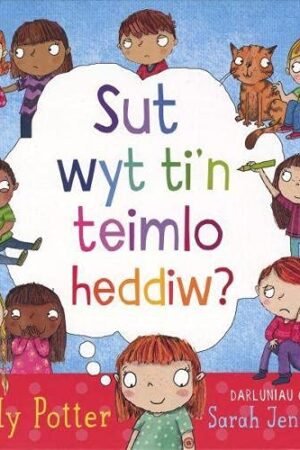 Cymraeg: Clawr y llyfr. | English: Cover of the book.