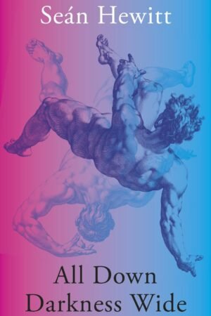 Cymraeg: Clawr y llyfr. | English: Cover of the book.