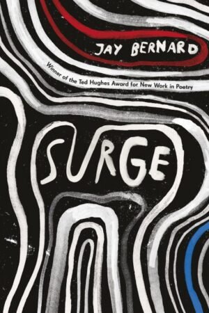 Cymraeg: Clawr y llyfr. | English: Cover of the book.