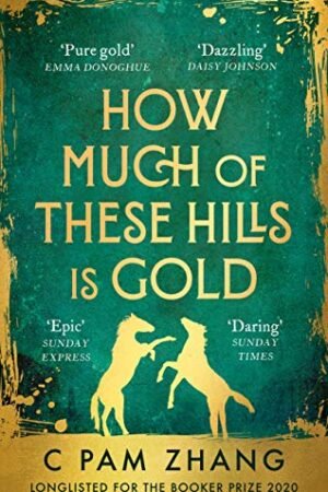 How Much of These Hills is Gold - C Pam Zhang