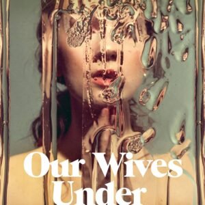 Llun clawr / Book cover image - Our Wives Under the Sea