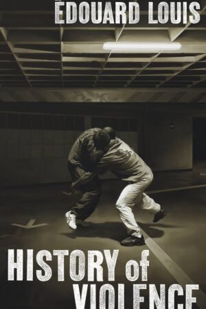 Llun clawr/Book cover image History of Violence