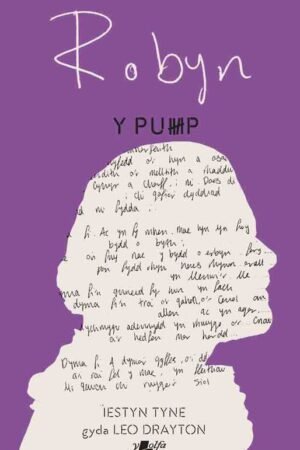 Llun clawr Y Pump: Robyn