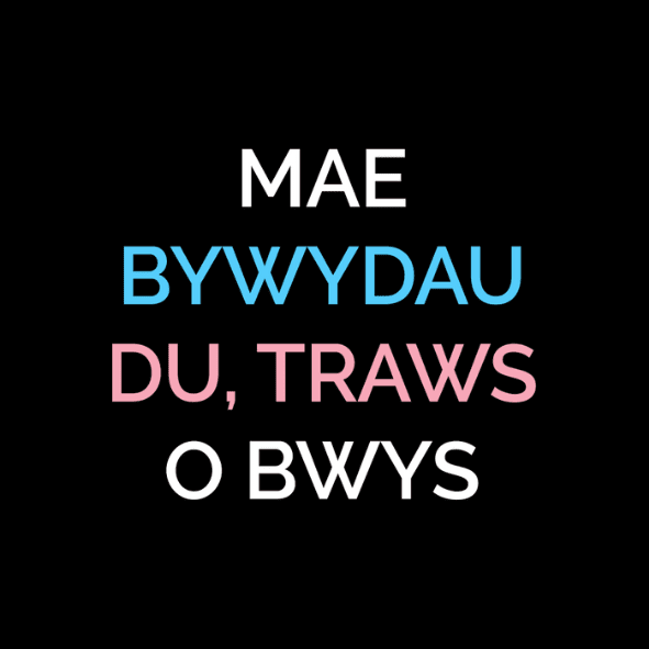 Cymraeg: Cefndir du yn cynnwys yr ysgrifen 'Mae Bywydau Du, Traws o Bwys'. English: 'Mae Bywydau Du, Traws o Bwys' written on a black background.