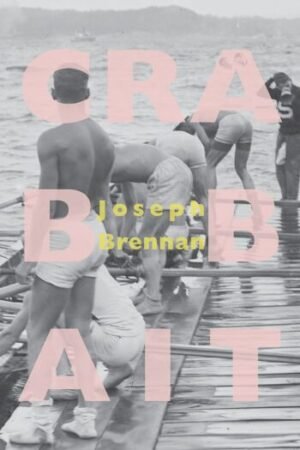 Cover of the book.