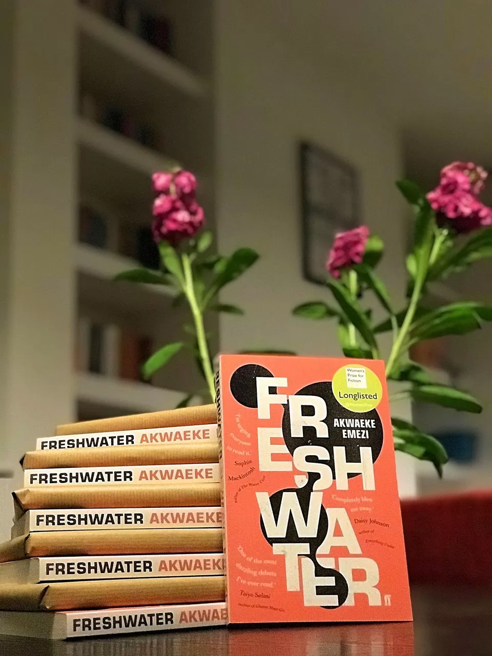 Freshwater - Akwaeke Emezi