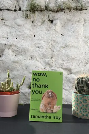 On a black table, between two potted plants, a copy of the book is standing with a white, stone wall in the background.