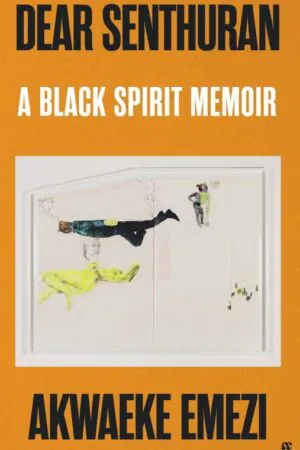 Cover of the book.