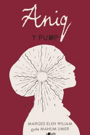 Llun clawr Y Pump: Aniq