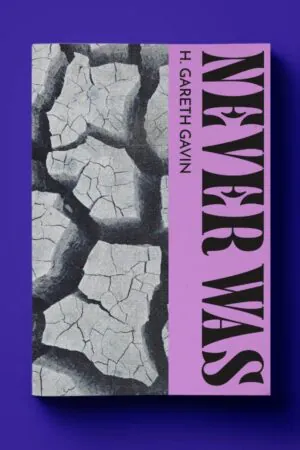 Cover of the book.