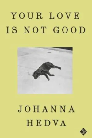 Cover of the book.