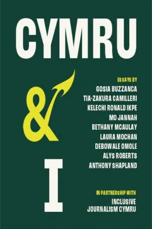 Cover of the book.