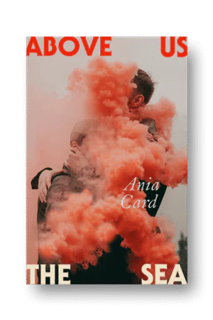 Cover of the book.