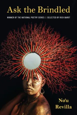 Cover of the book.