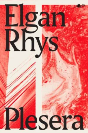 Cover of the book.