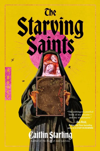 Cover of the book.